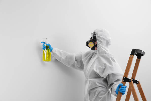 Best Biohazard Mold Removal  in Newburyport, MA